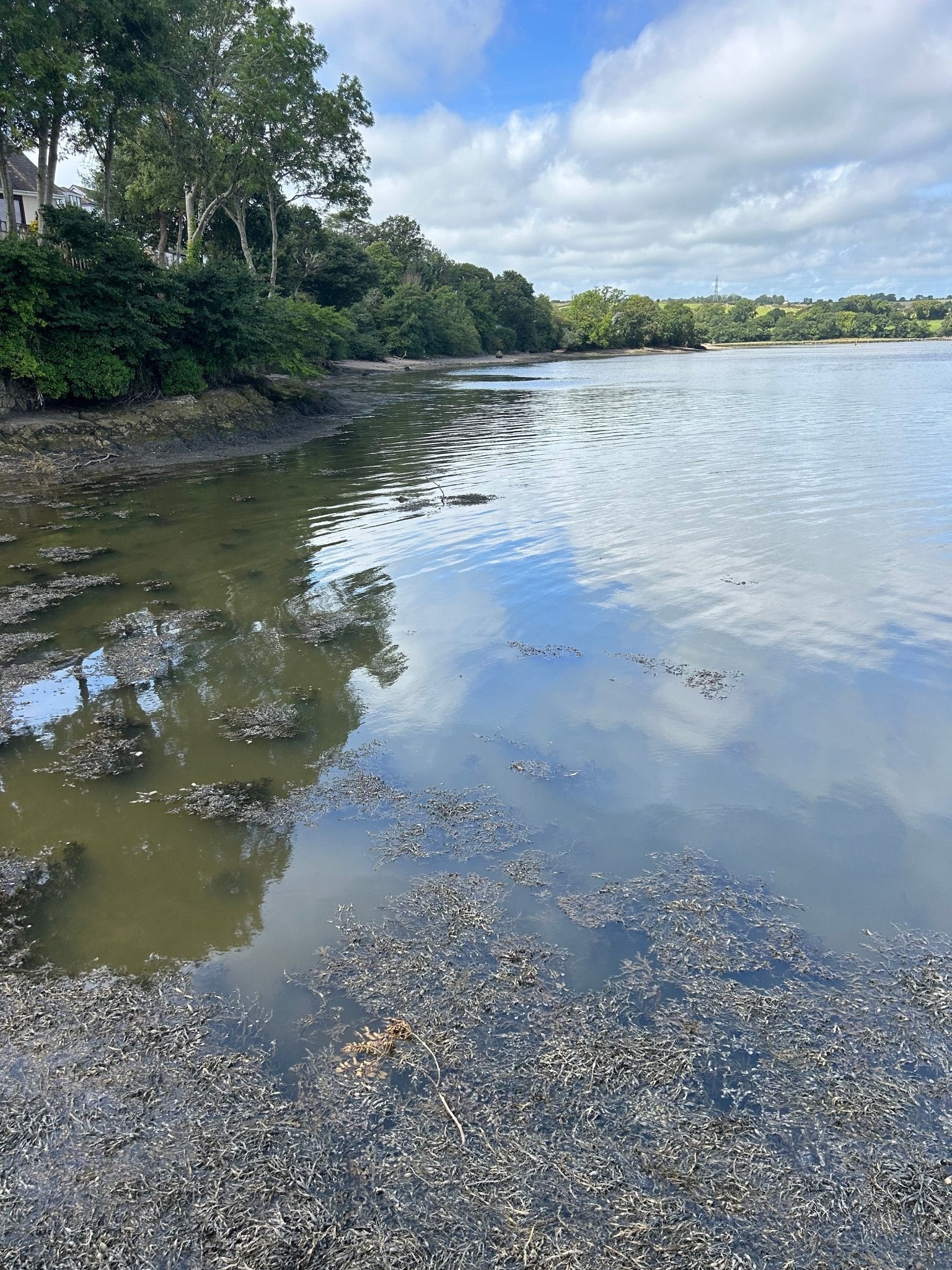 The Estuary Lure fishing for Bass - Bass Lures UK