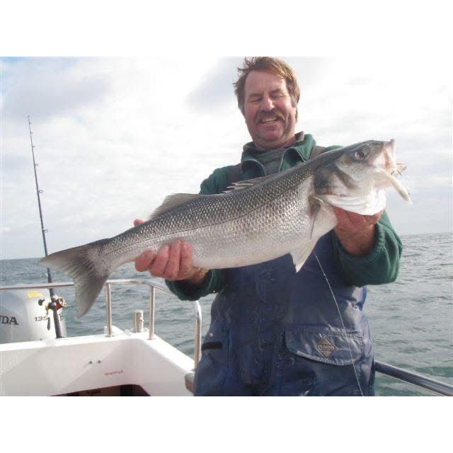 Red Gill Evolution Bass Lures