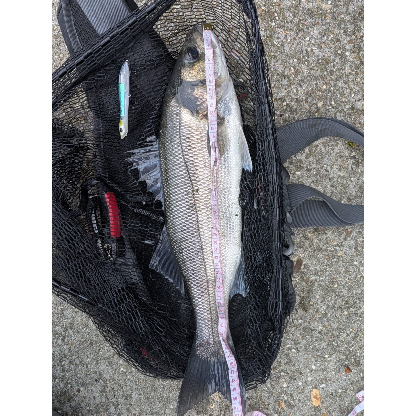 Medium Surface Topwater Bass Lure 125mm 19g