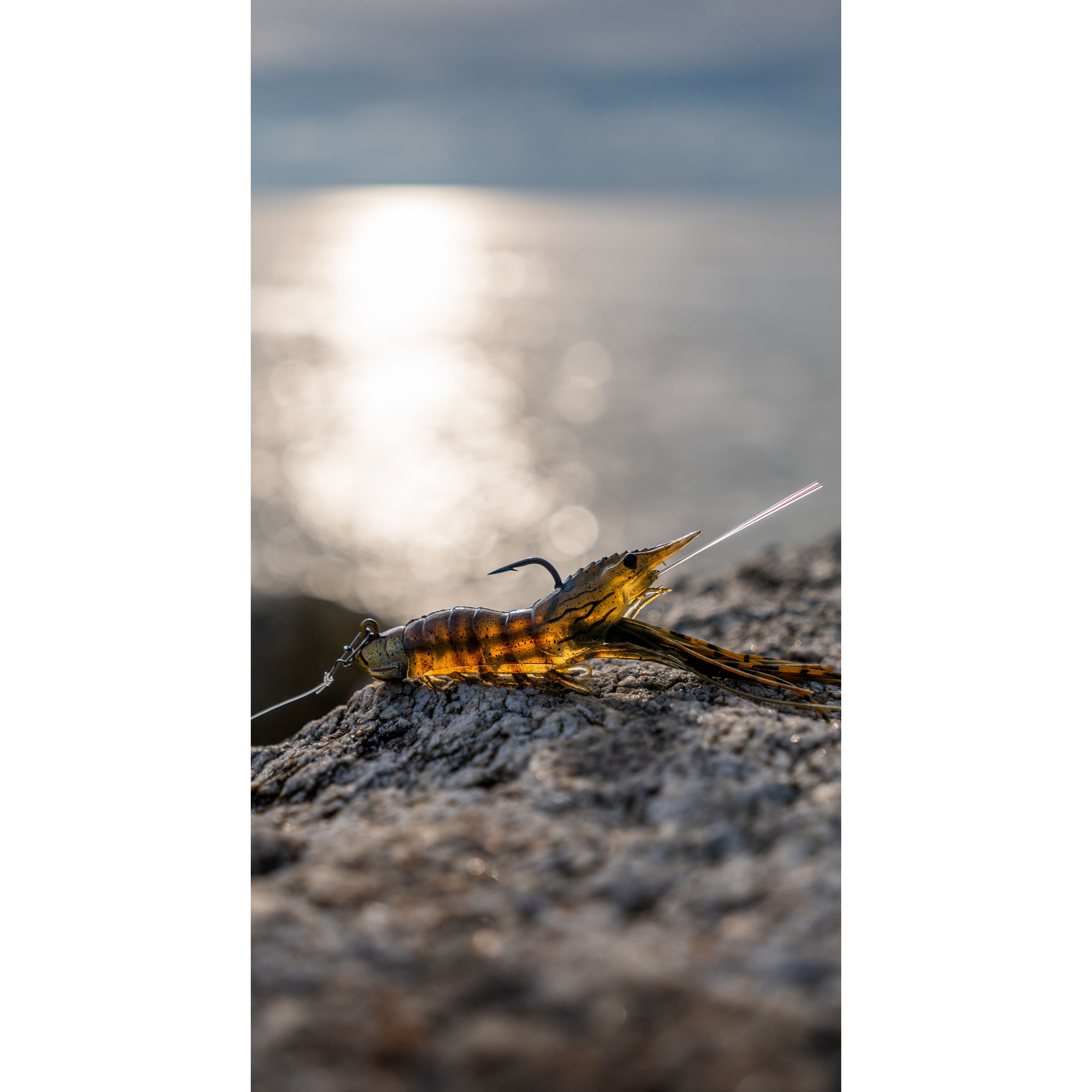 Live Target Fleeing Shrimp Soft Plastic Bass/Guilt Head Bream Jig