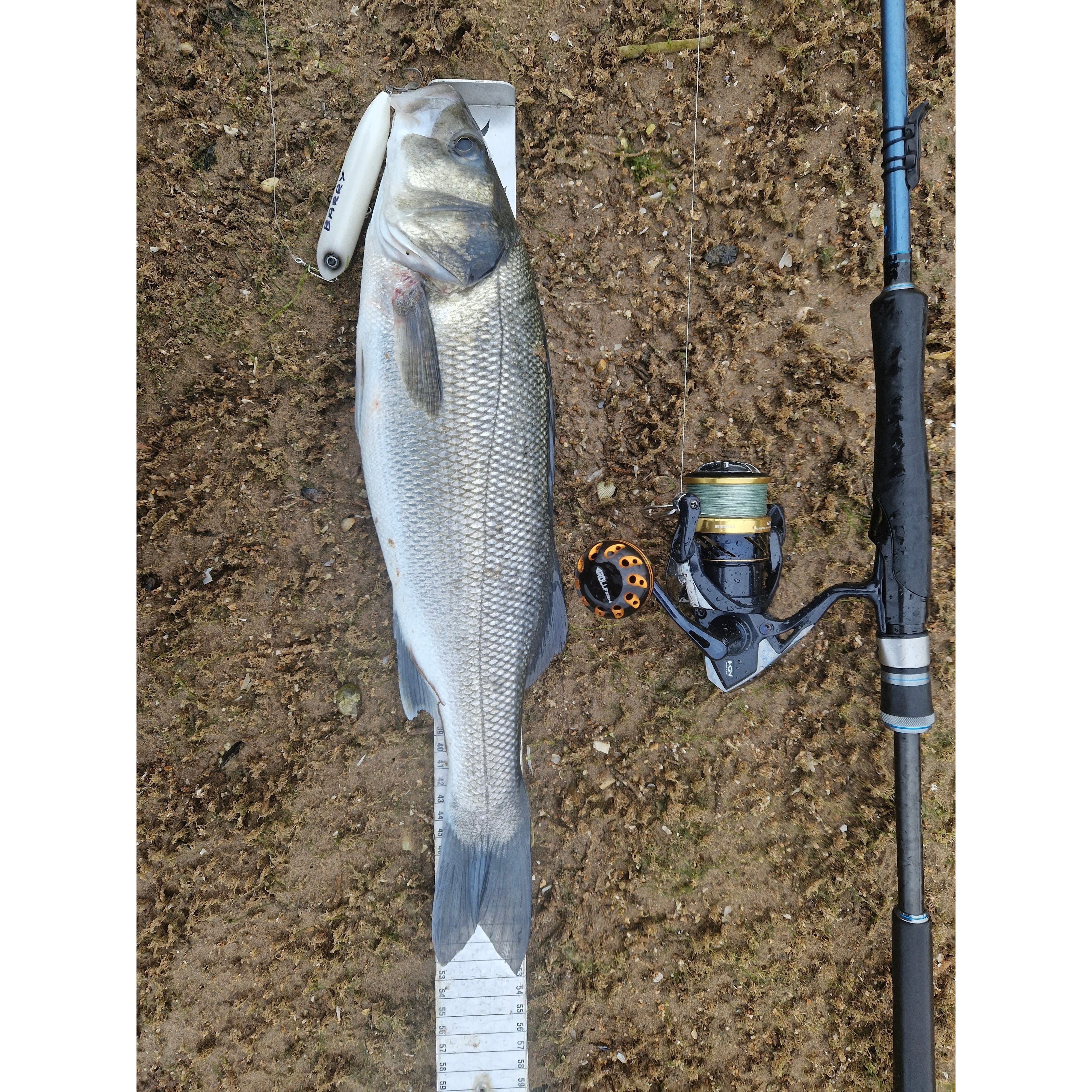 Small Surface 100mm 21g Rattle Topwater Bass Lure - Bass Lures UK