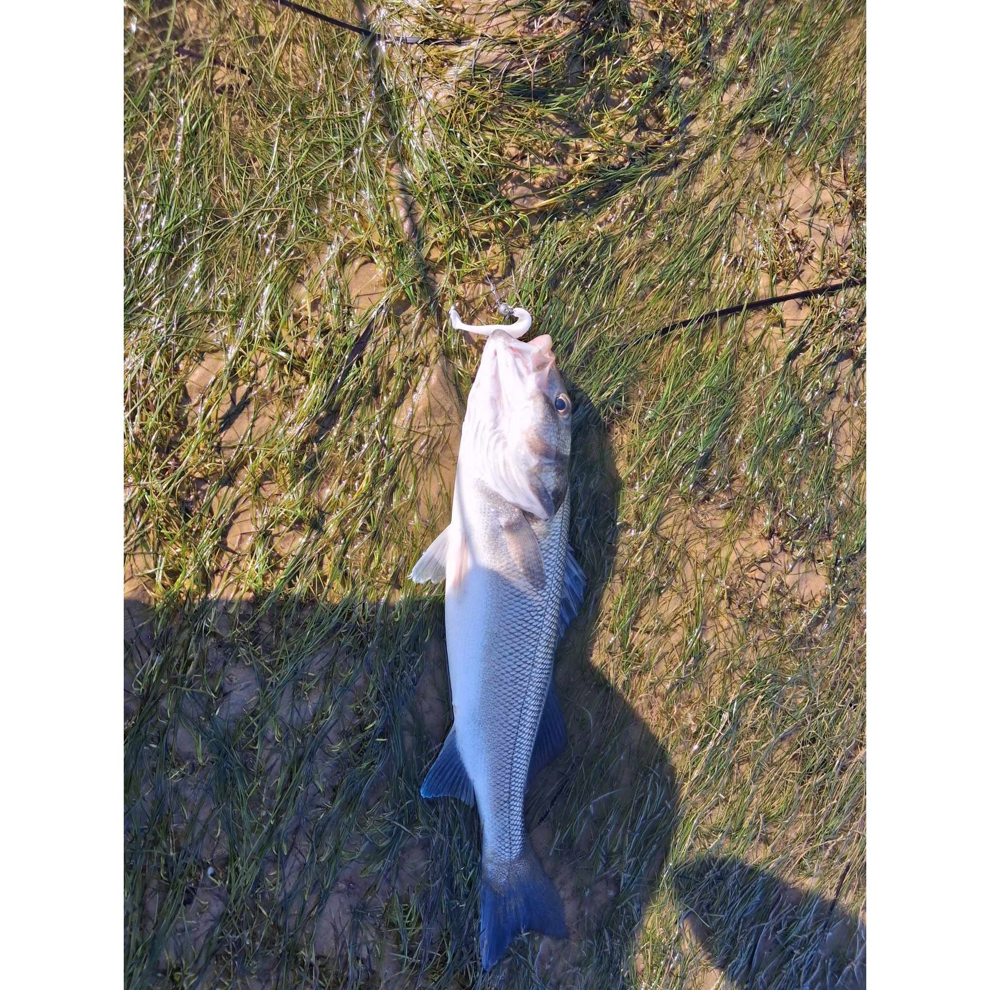 Small Weedless Bass Lure Shads 90mm