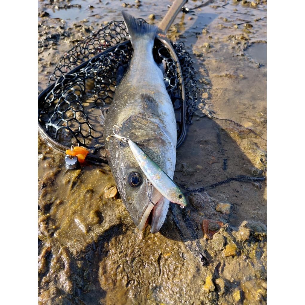 Small Surface Bass Lure 105mm 16g