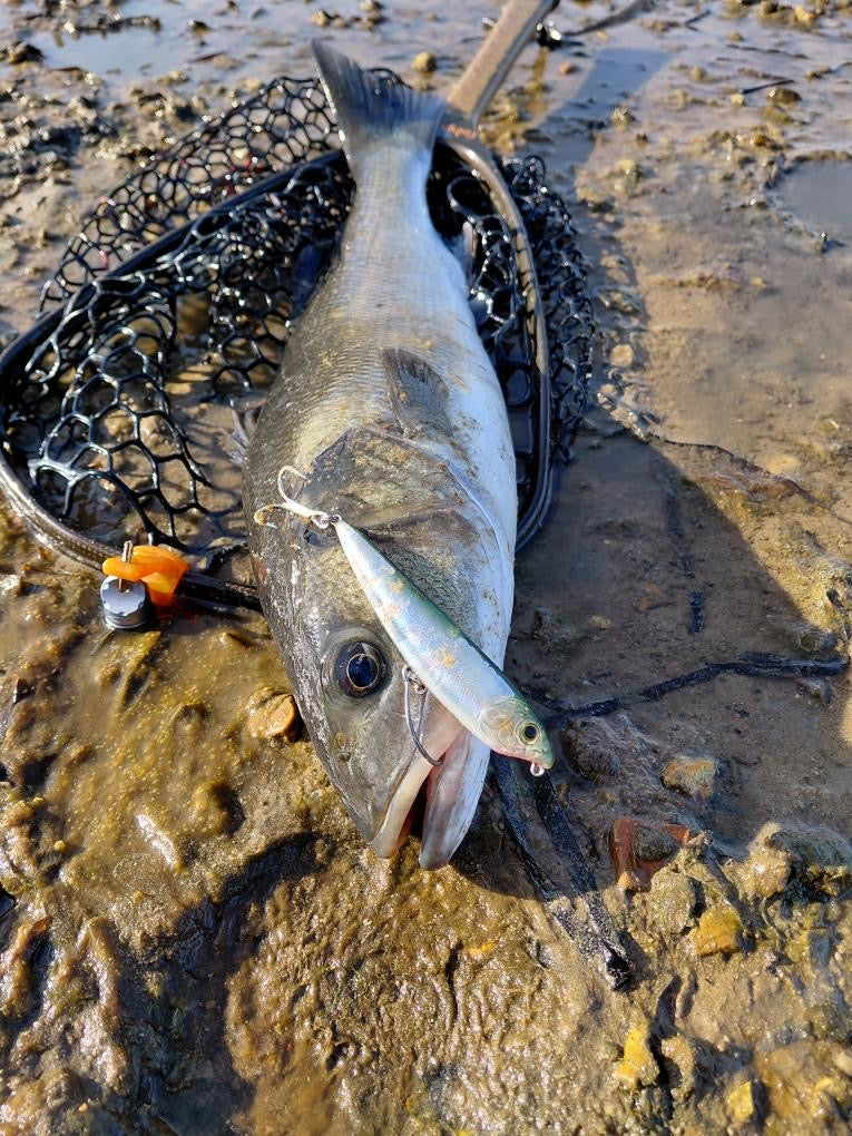 Small Surface Bass Lure 105mm 16g