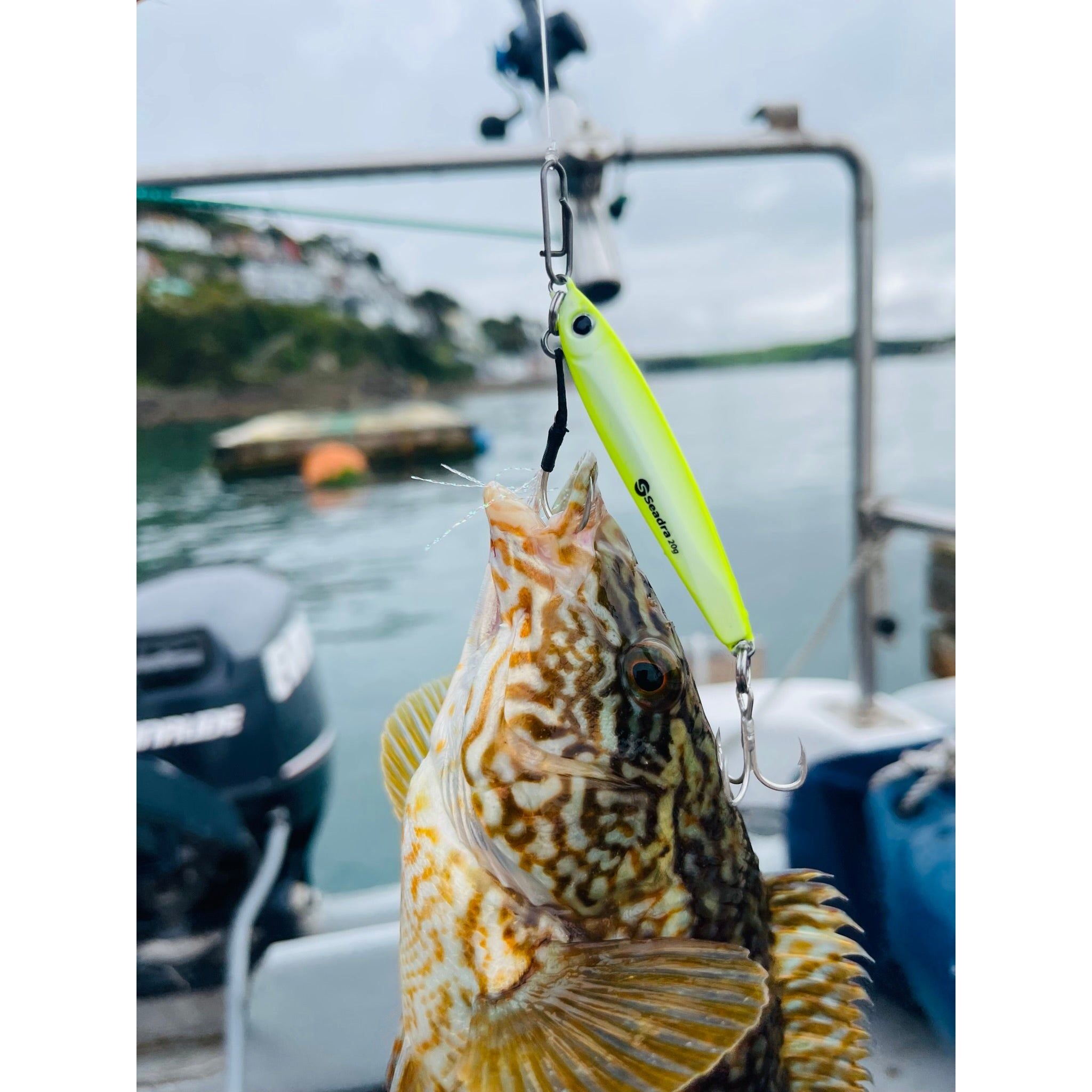 Seadra Aqua-Bullet Bait Fish Casting Bass Jig