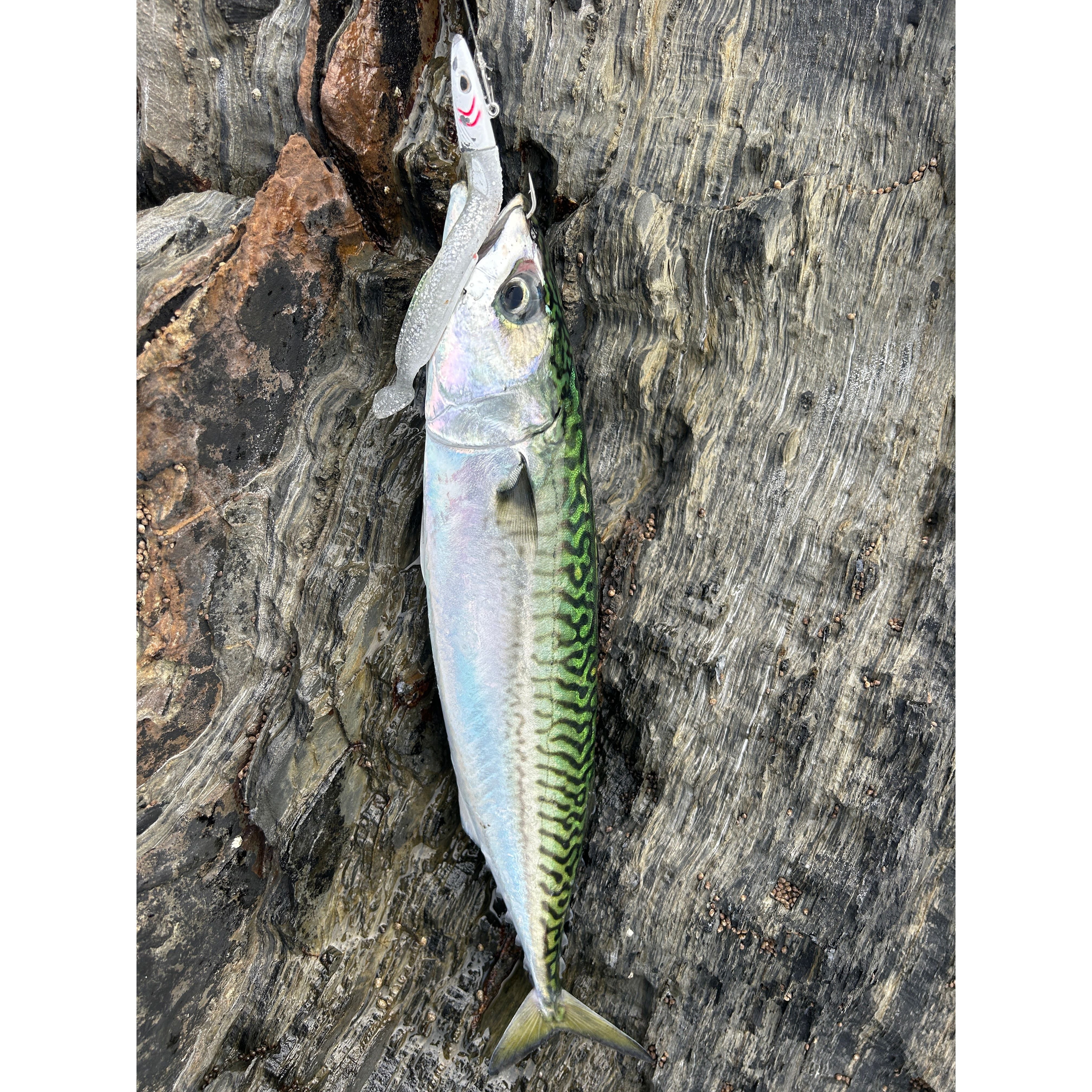 Weighted Sandeel Bass Lure 140mm 27g