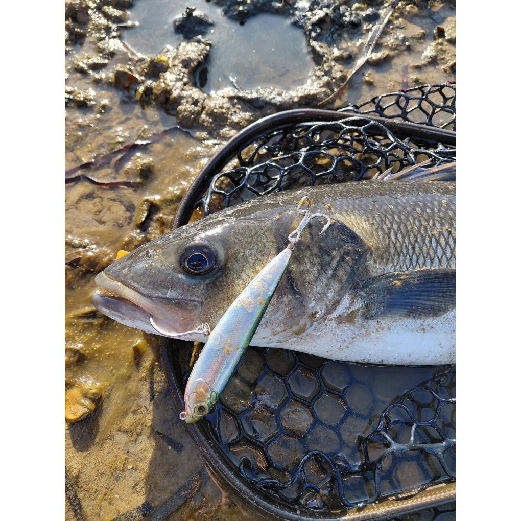 Small Surface Bass Lure 105mm 16g