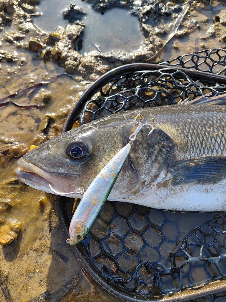 Small Surface Bass Lure 105mm 16g