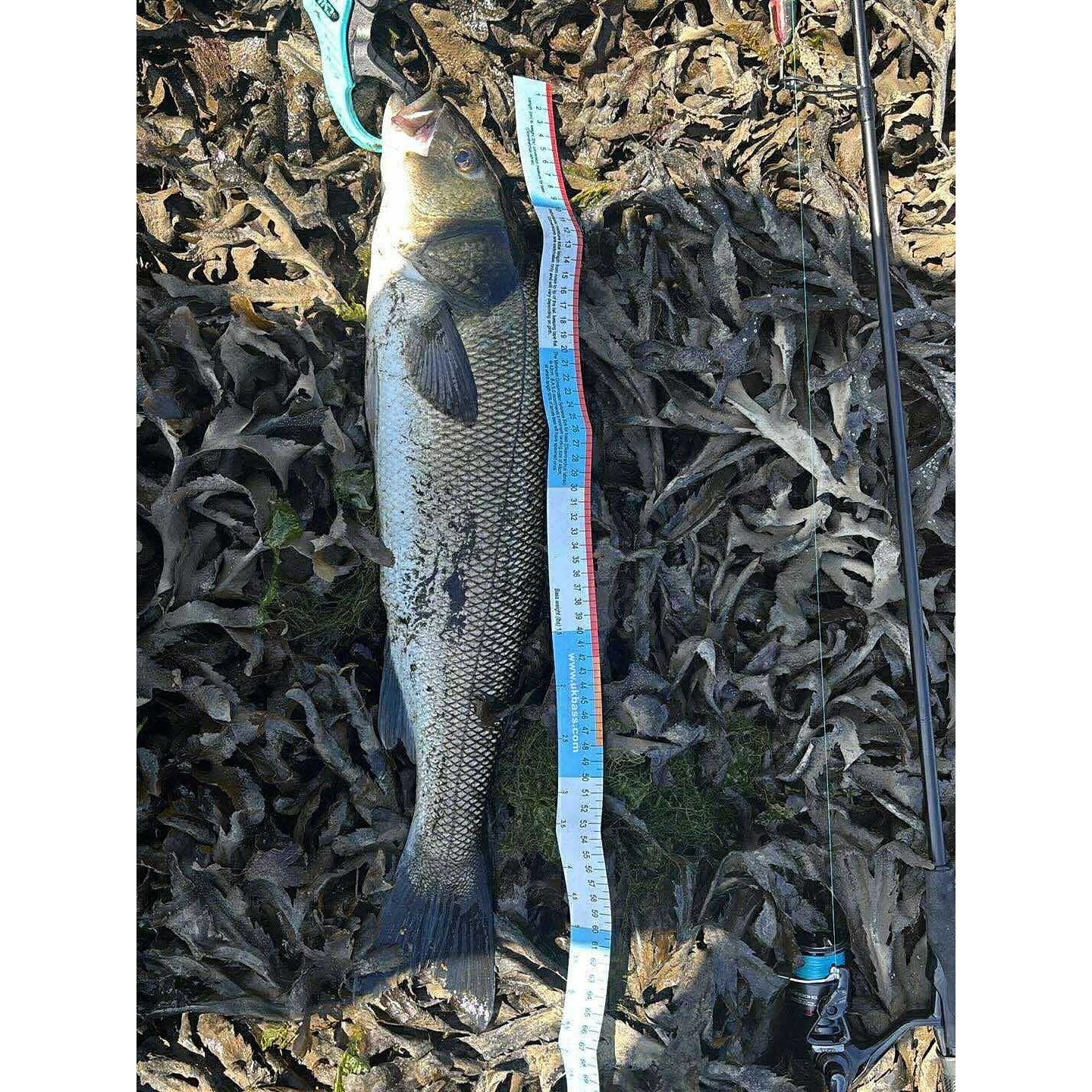 Medium Surface Topwater Bass Lure 125mm 17g