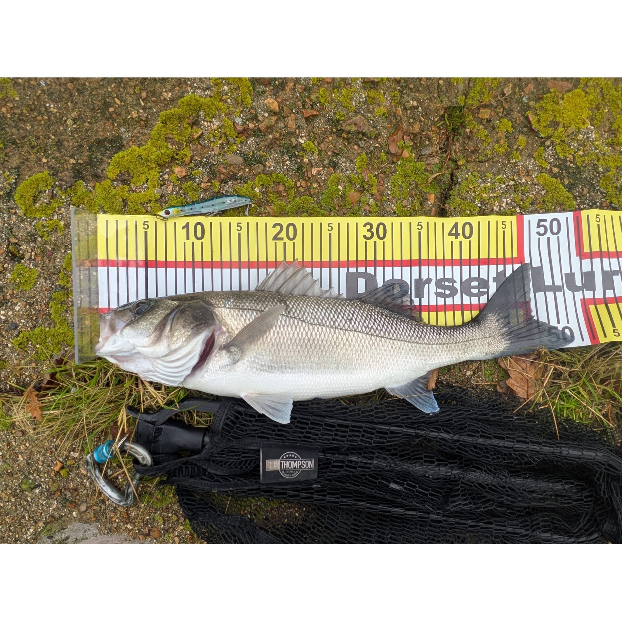 Small Surface Topwater Bass Lure 100mm 11g