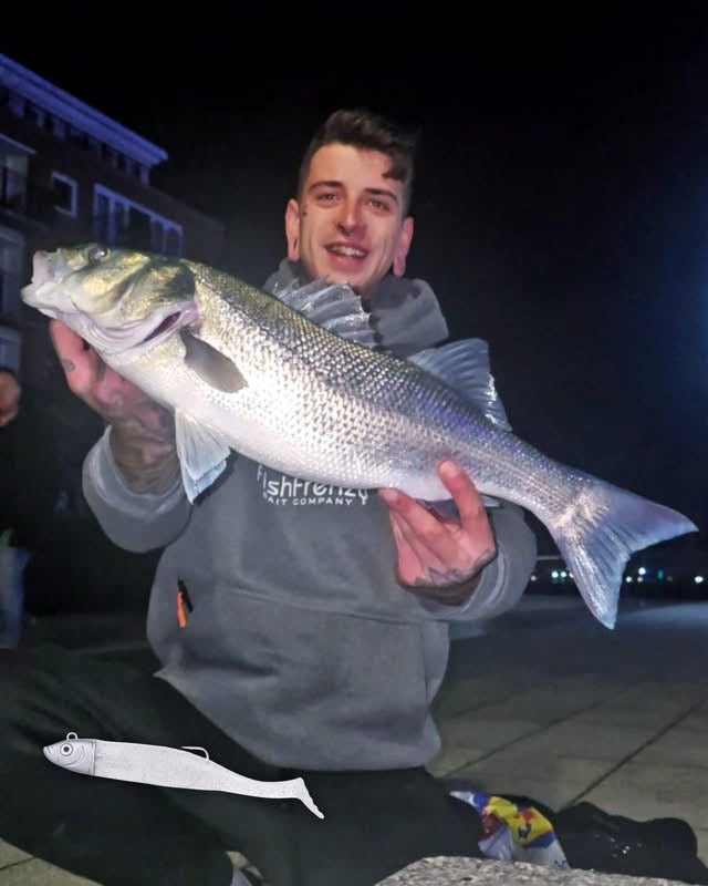 Drift Weedless Shoal Shad Double Combo Bass Lure