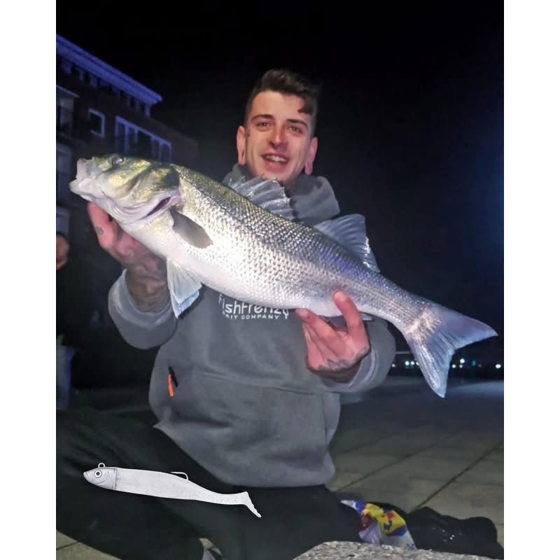 Drift Weedless Shoal Shad Double Combo Bass Lure