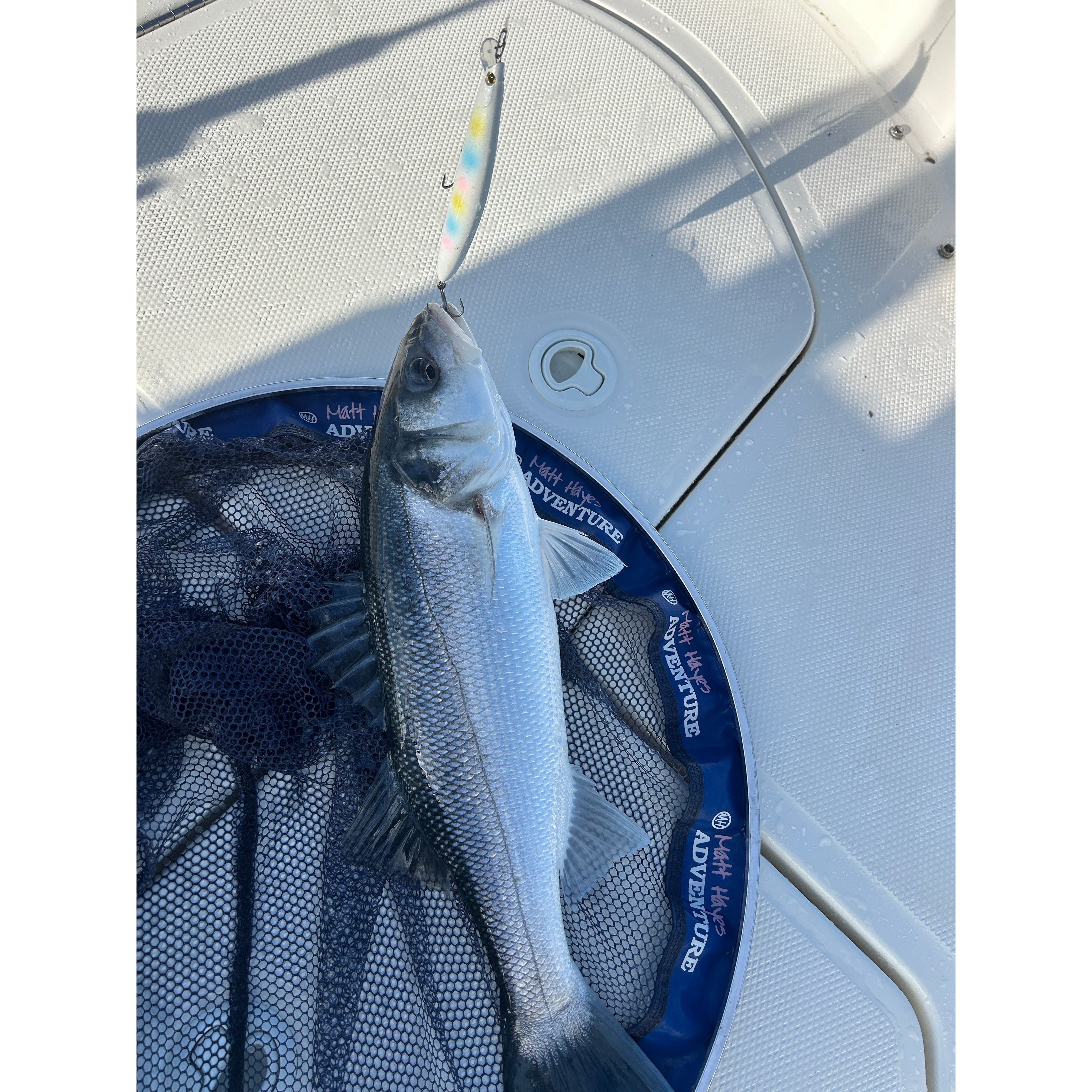 Medium Shallow Diving Gliding 2m Bass Lure 125mm 20g