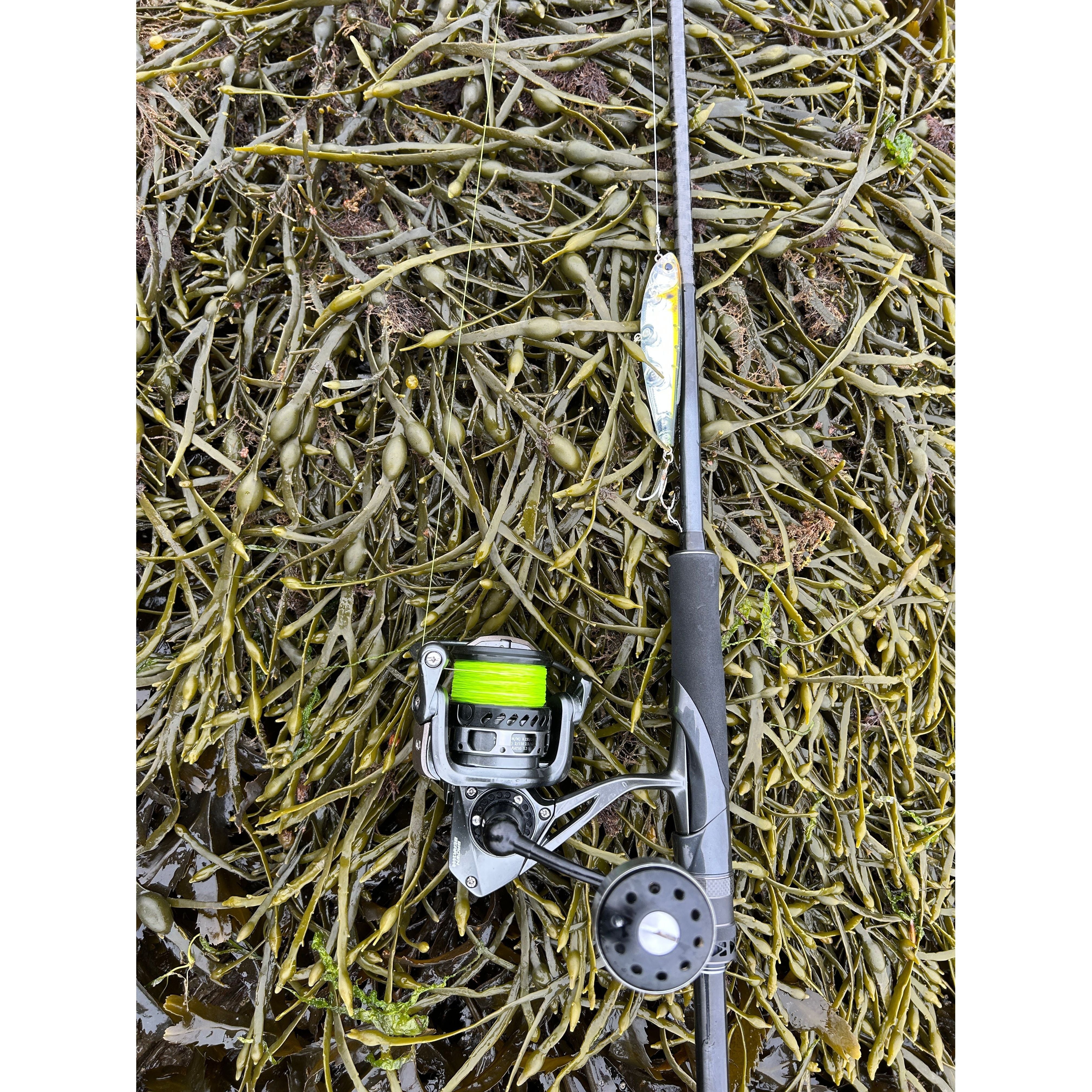 bass pro shop saltwater rod and reel combo KastKing Royale Legend Baitcaster 8.0:1 / Left Handed / 6'8" / Fast-Medium-Jerk Bait Gearing up with a strong Offshore Angler Salt Striker Spinning