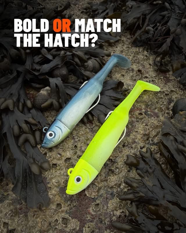 Drift Weedless Shoal Shad Double Combo Bass Lure