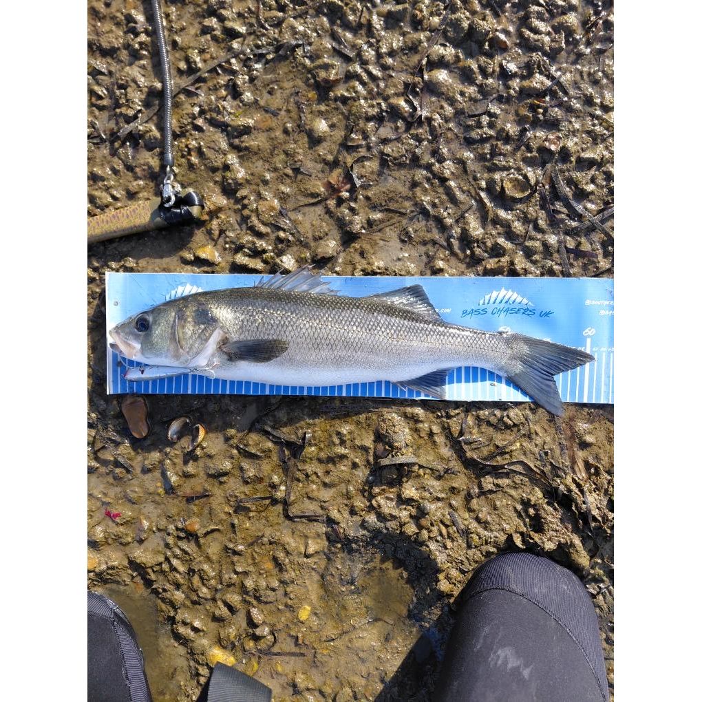 Small Surface Bass Lure 105mm 16g