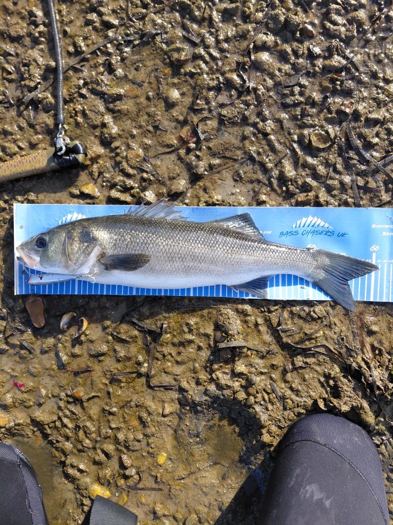 Small Surface Bass Lure 105mm 16g