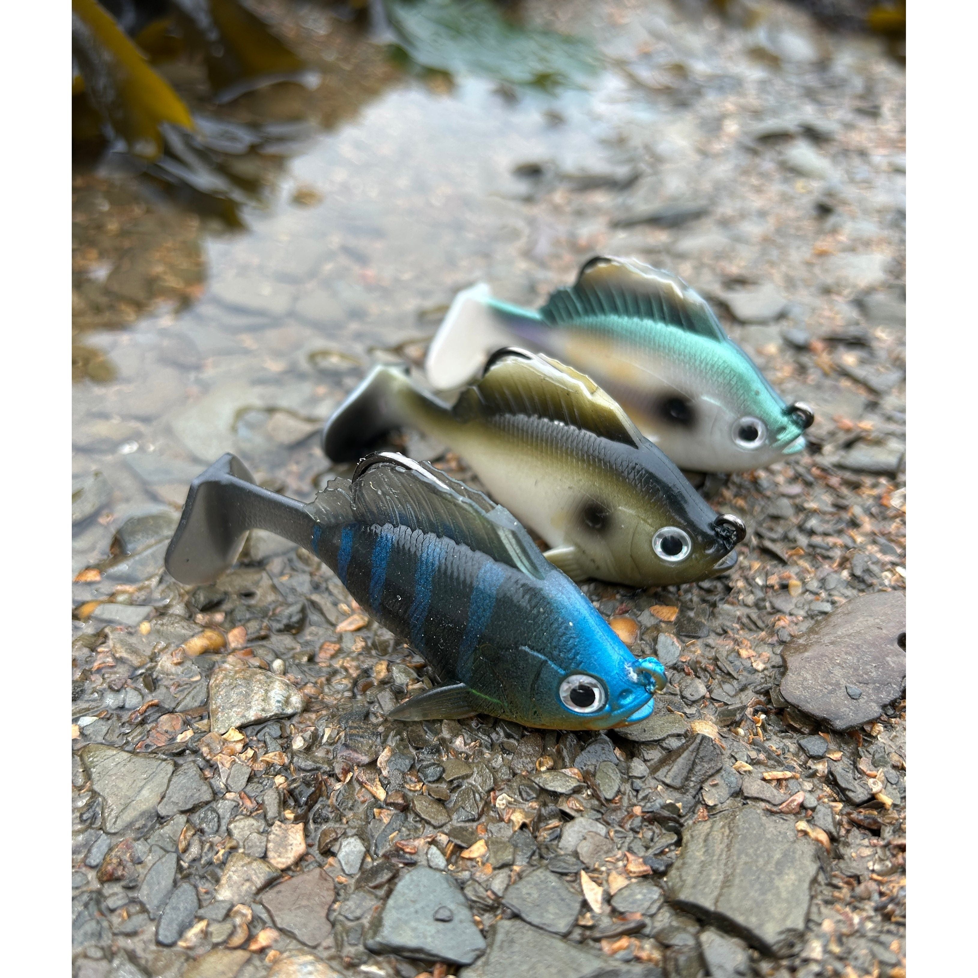 dating weighted fish lure Weighted Gill Shad Bass Lure 80mm 19g