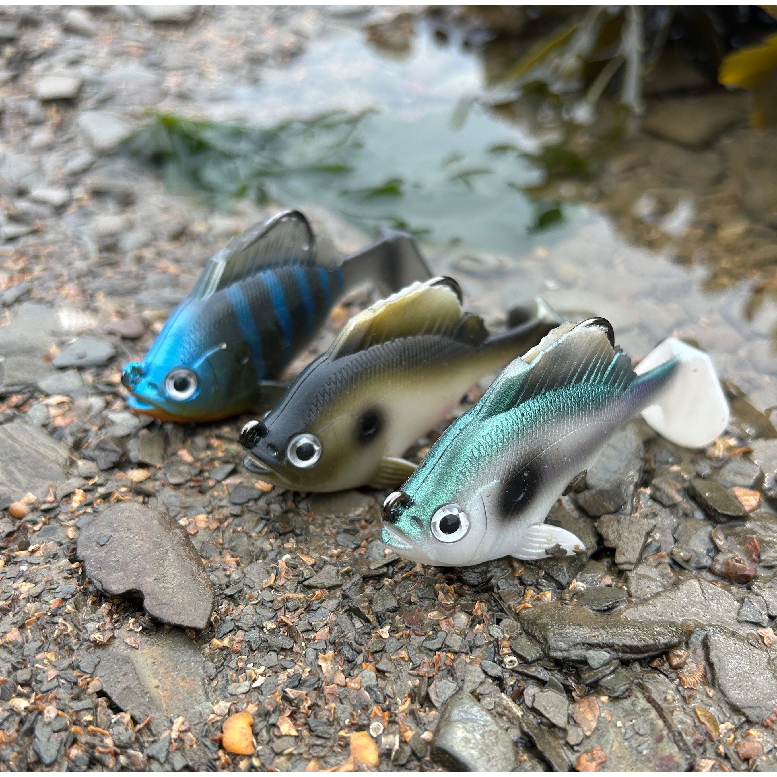 Weighted Gill Shad Bass Lure 80mm 19g.