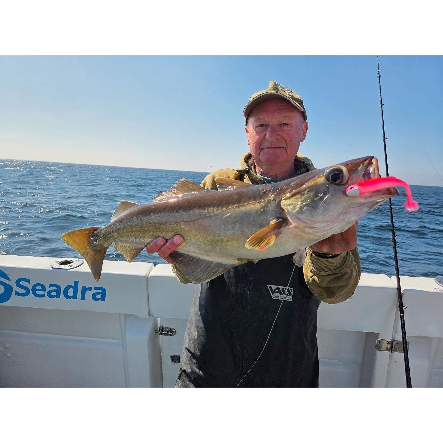 SEADRA PADDLE SHAD DOUBLE COMBO BASS LURE SET (NEW 2025)