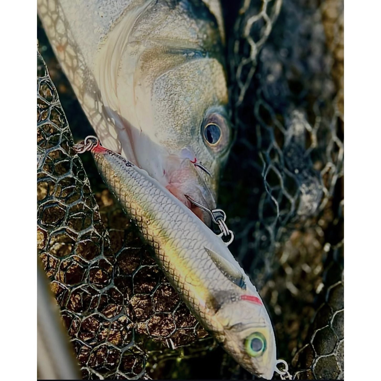 Handmade Gravity Surface Bass Lures