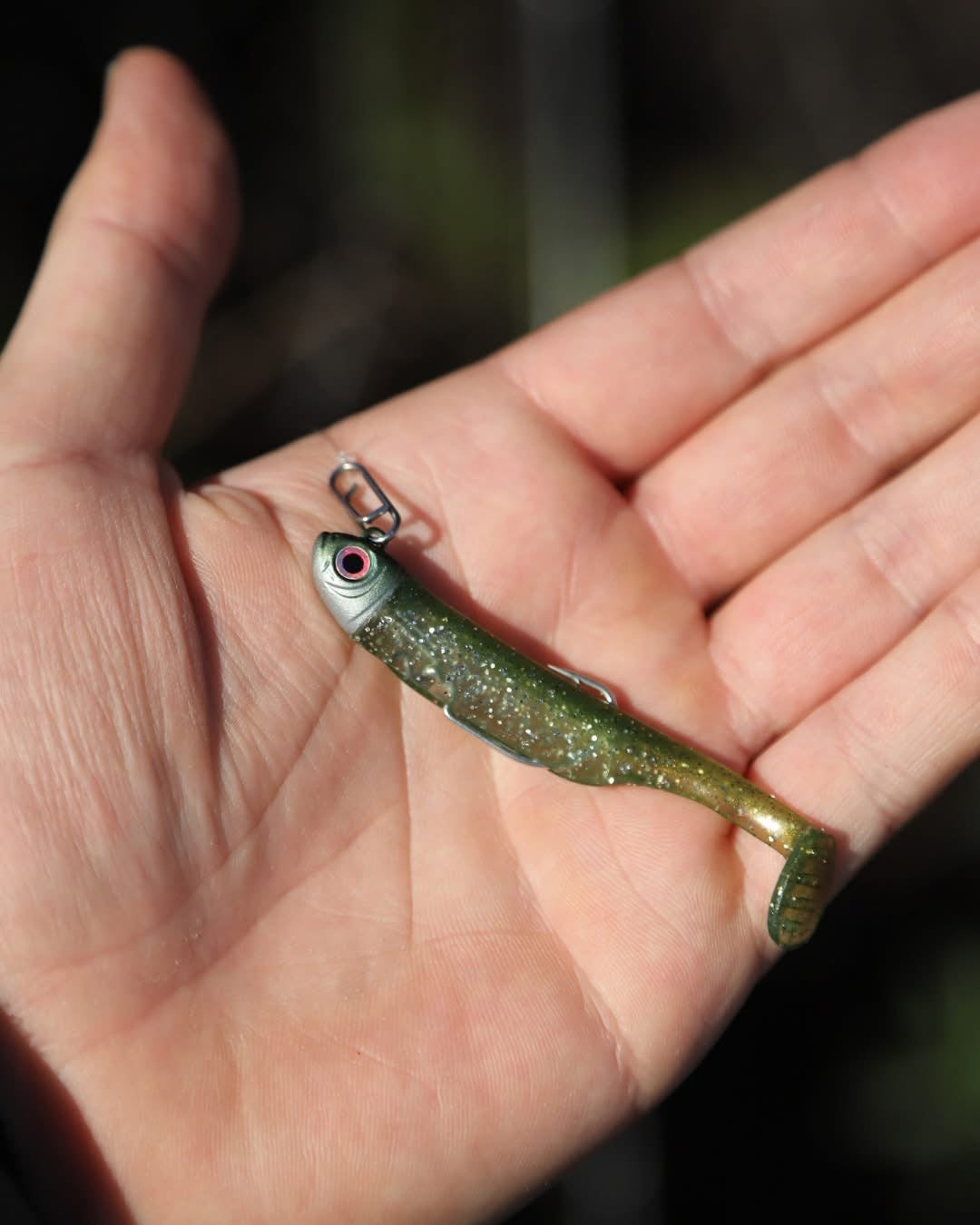 Drift Weedless Shoal Shad Double Combo Bass Lure