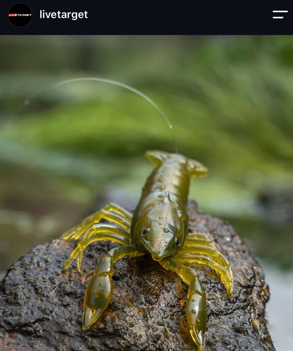 Live Target Crawfish Soft Plastic Bass Lure Packs
