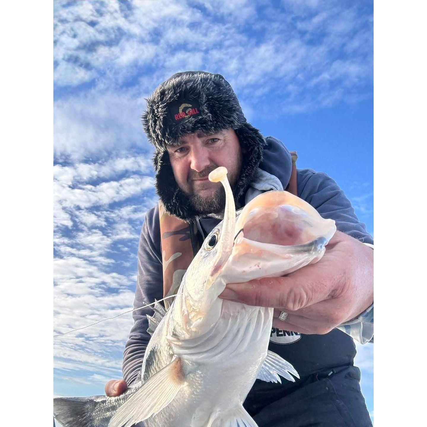 Red Gill Iwashi Bass Lure Swimbaits-Pro Series