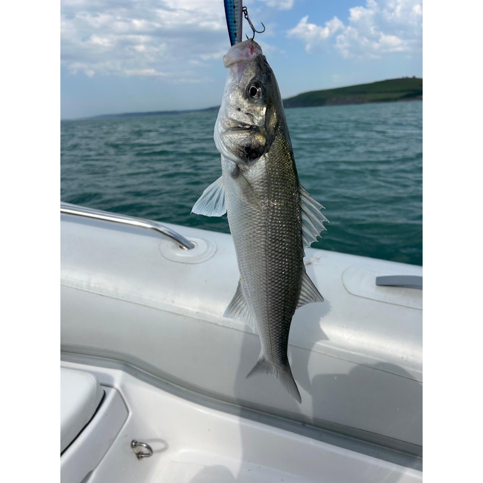 Large Shallow Diving 1m Bass Lure 140mm 18g
