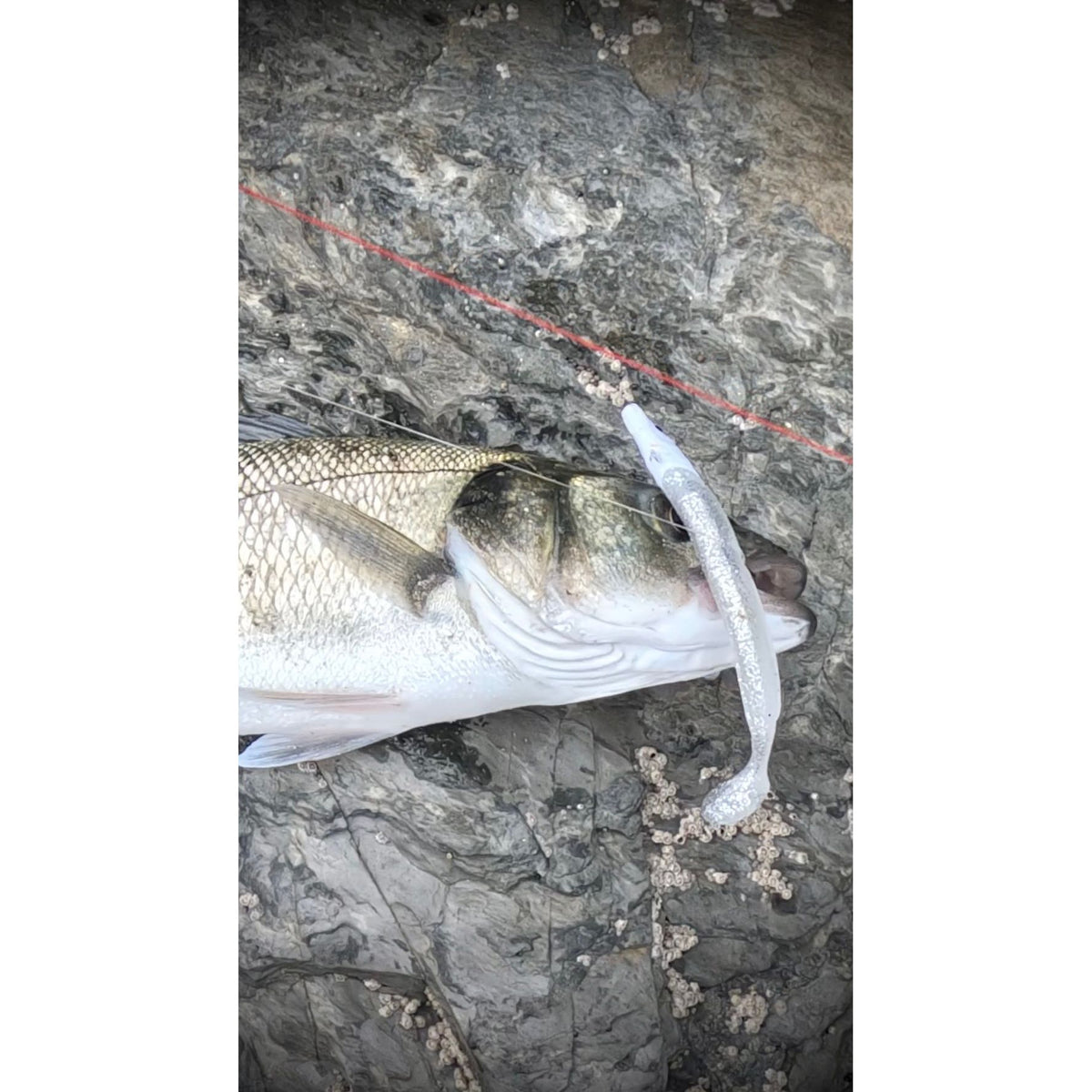 Weighted Sandeel Bass Lure 120mm 23g