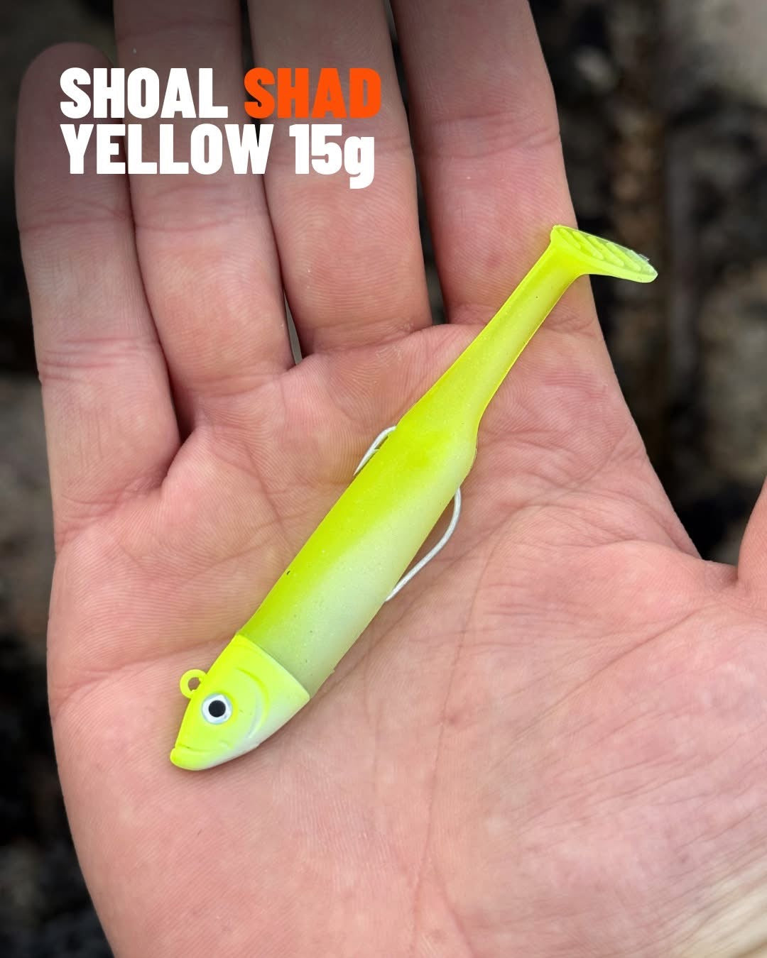 Drift Weedless Shoal Shad Double Combo Bass Lure