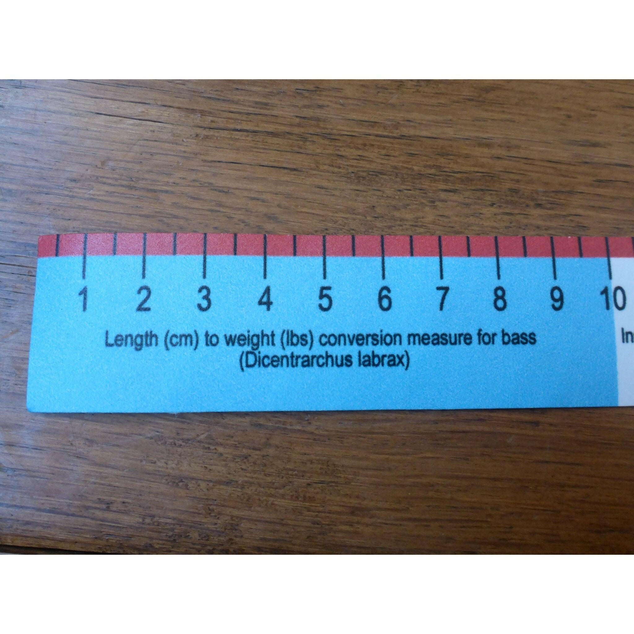 Easy way to measure for a bra vintage