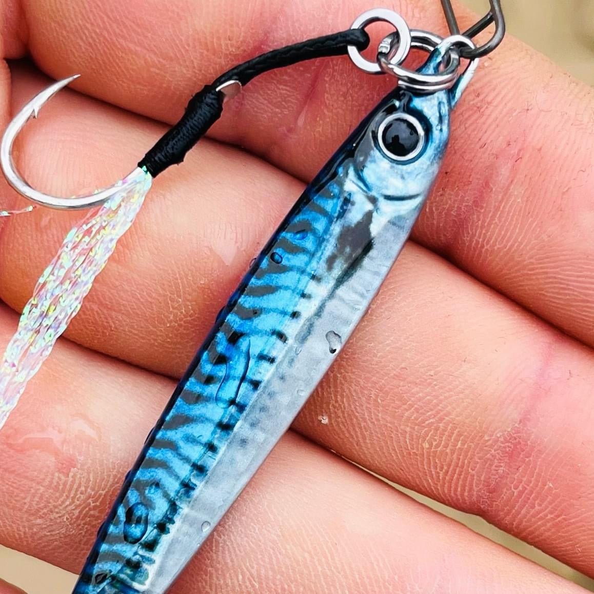 Seadra Aqua - Bullet Bait Fish Casting Bass Jig - Bass Lures UK