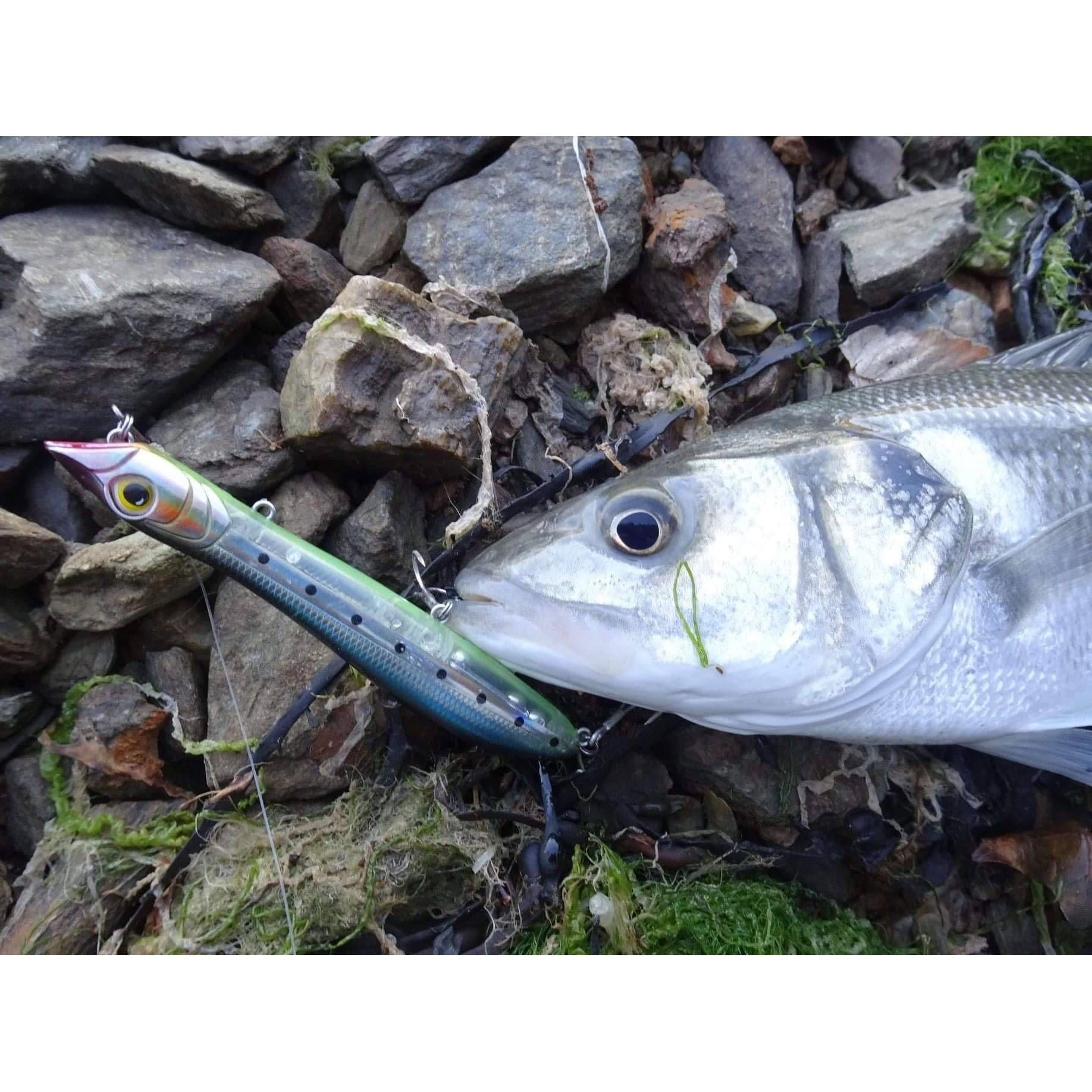 Seadra Spitta 125 V2 Surface Bass Lure 18g - Bass Lures UK