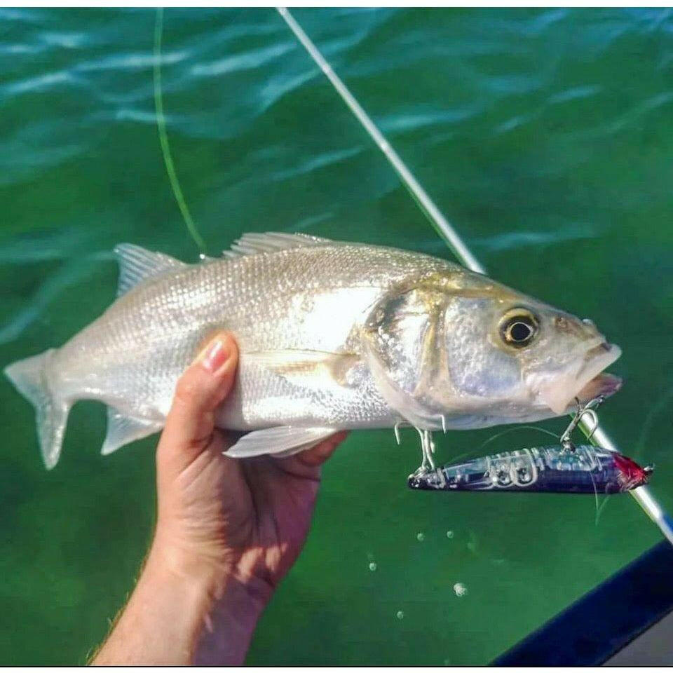 do fish like prism lures Small Surface 3D Inshore Prism Pencil Bass Lures 100mm 17g