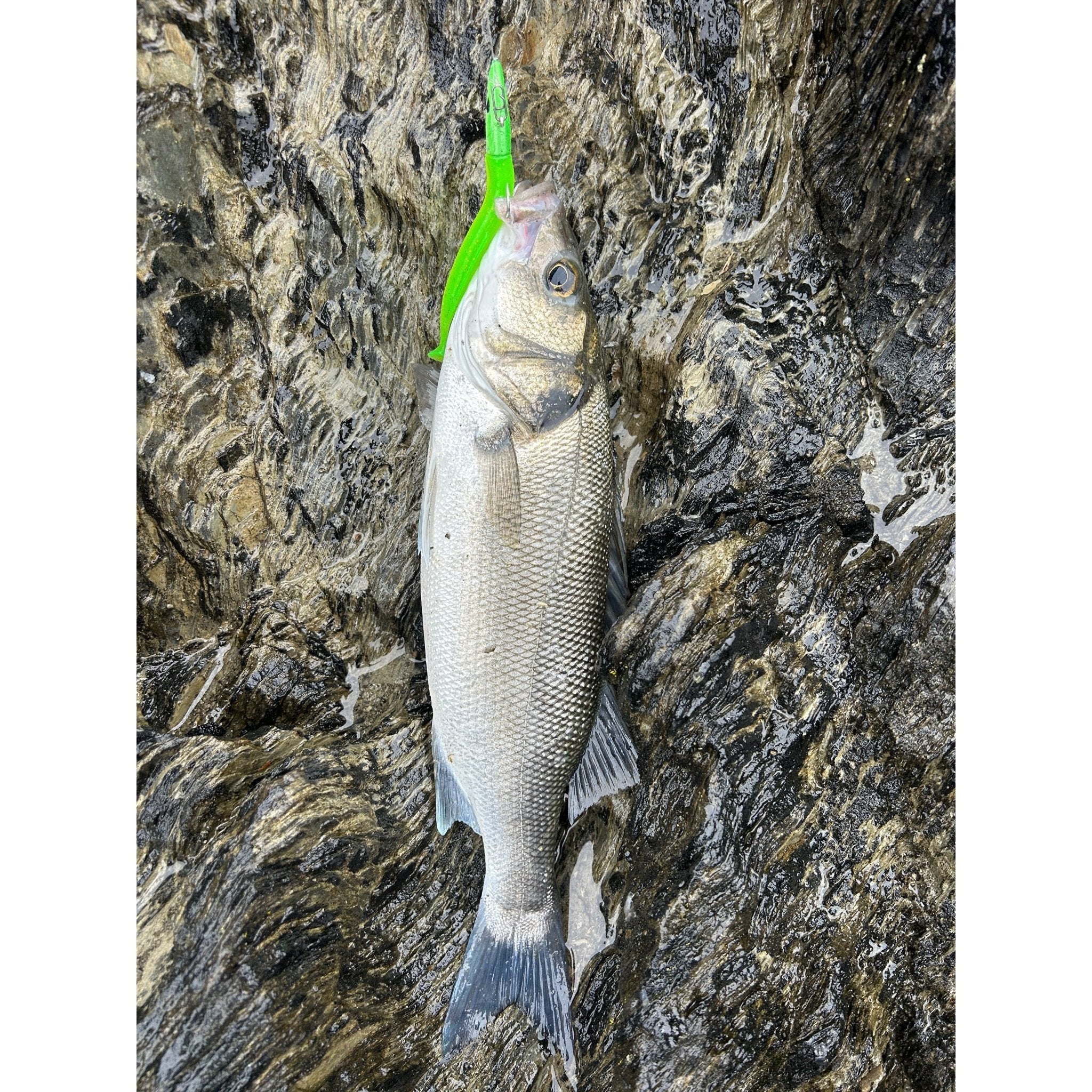 Weighted Sandeel Bass Lure 125mm 20g - Bass Lures UK